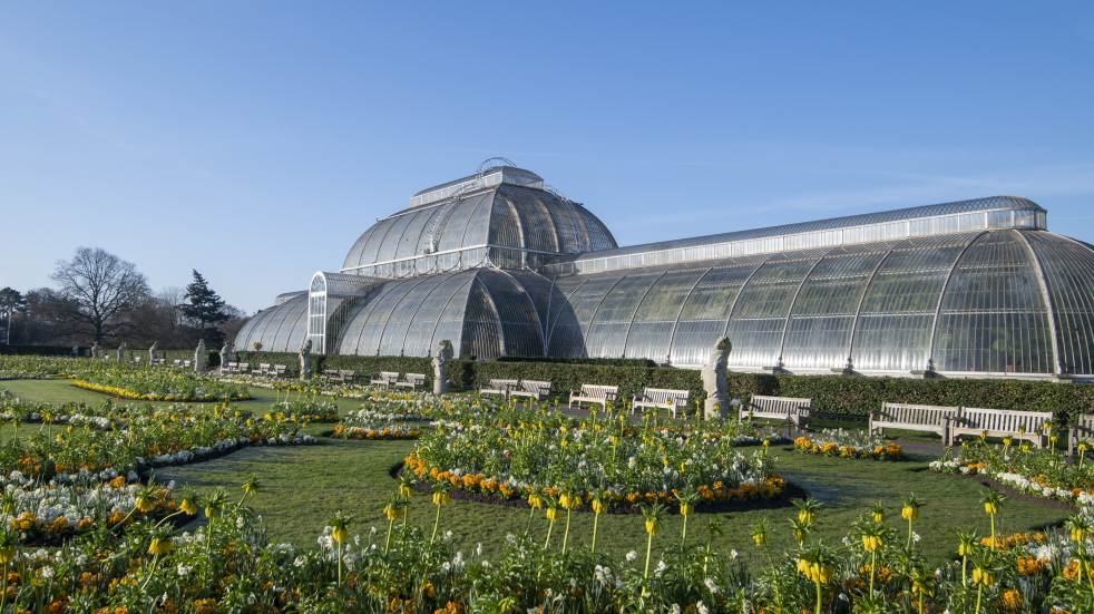 Kew Gardens palm house in spring